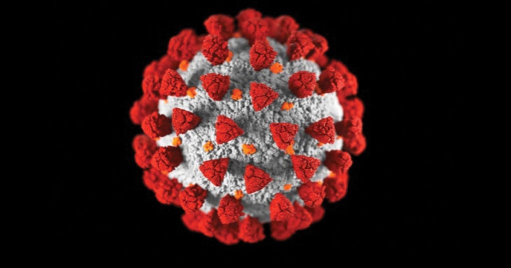 COVID virus red and grey isolated